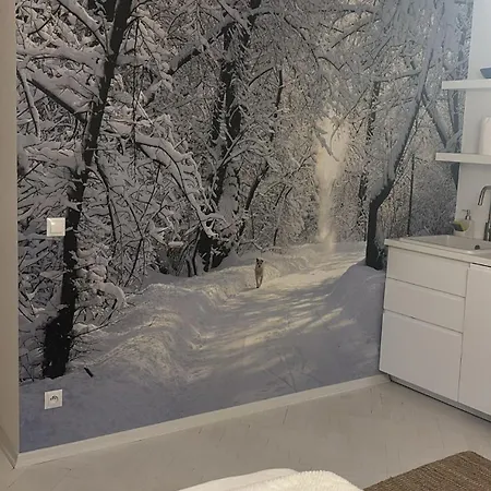 Apartment Four Seasons Old Town - Winter *
